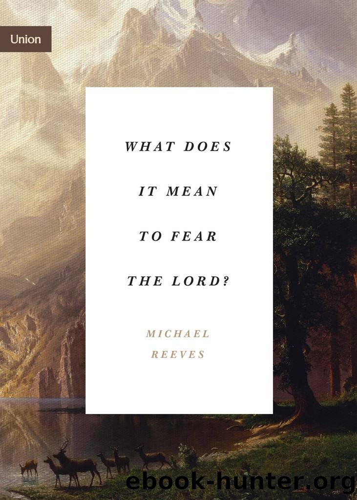 What Does It Mean to Fear the Lord? by Unknown