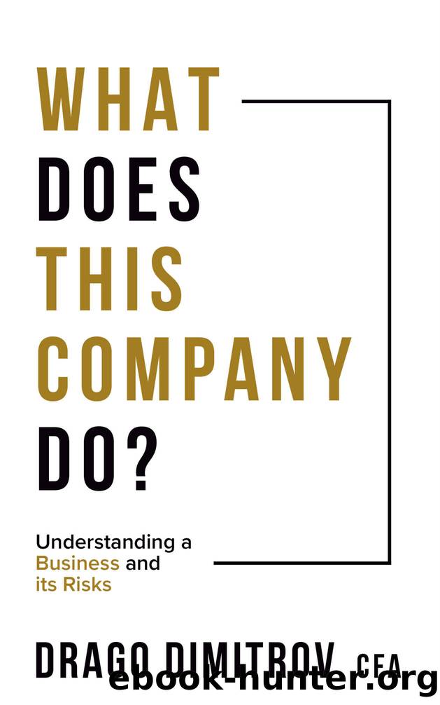 What Does This Company Do?: Understanding a Business and its Risks by Drago Dimitrov