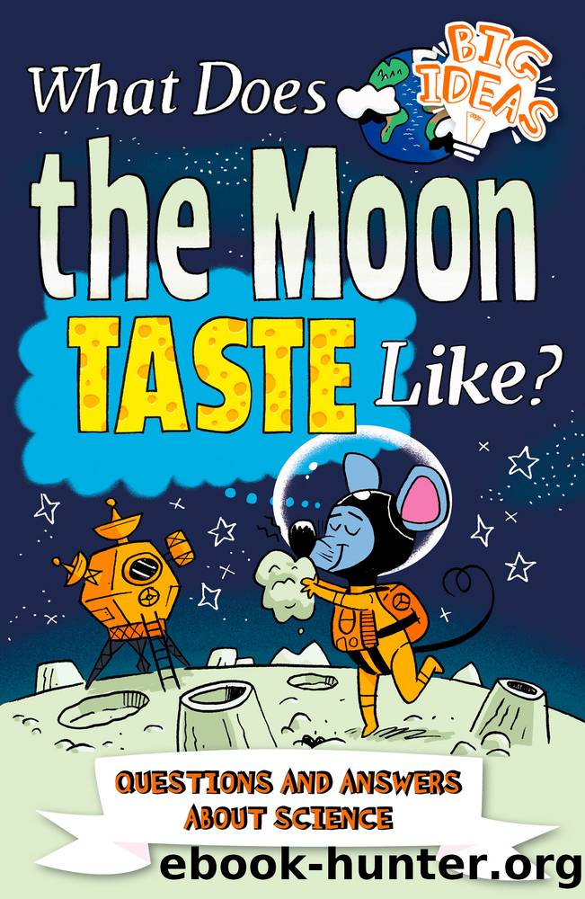 What Does the Moon Taste Like? by Thomas Canavan