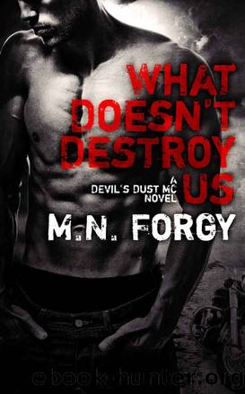 What Doesn't Destroy Us (The Devil's Dust Book 1) by M. N. Forgy