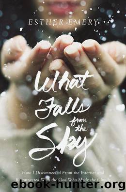 What Falls from the Sky by Esther Emery