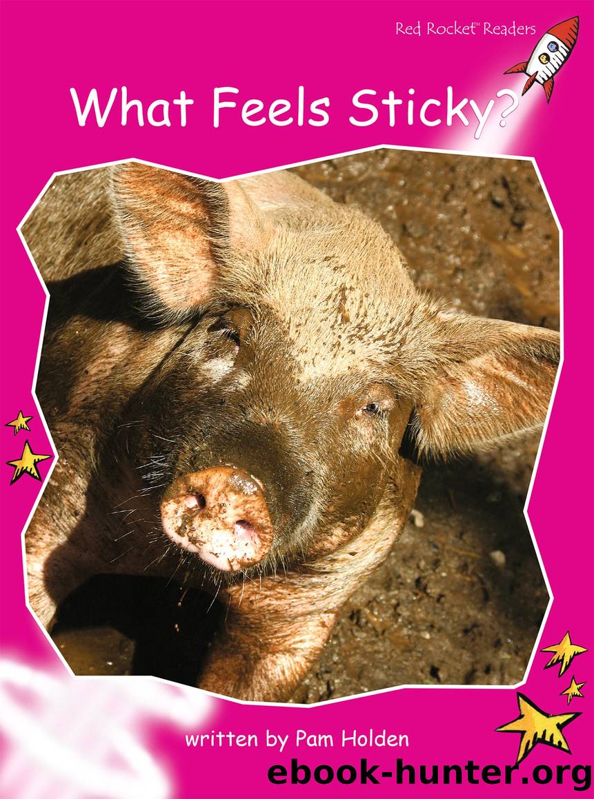What Feels Sticky? by Pam Holden
