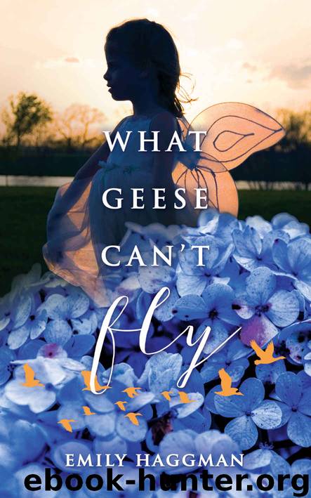 What Geese Can't Fly by Emily Haggman