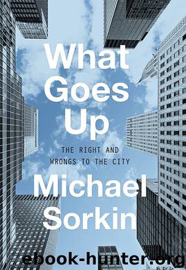 What Goes Up by Michael Sorkin