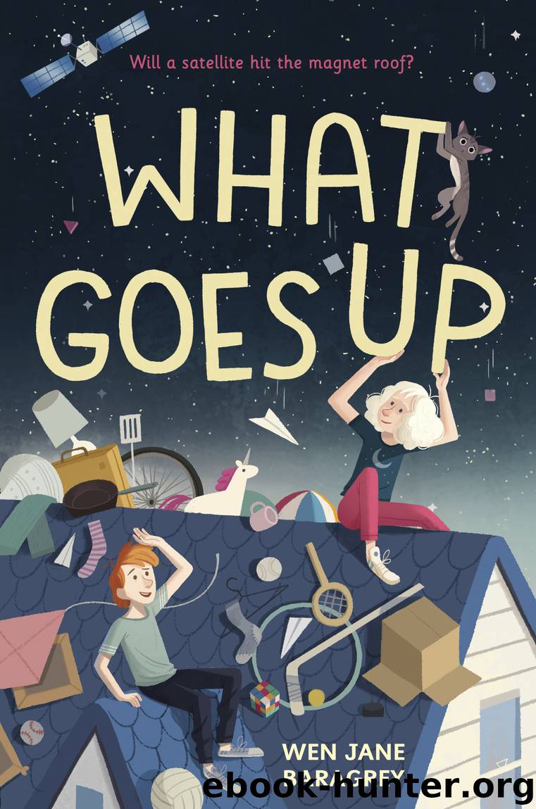 What Goes Up by Wen Jane Baragrey