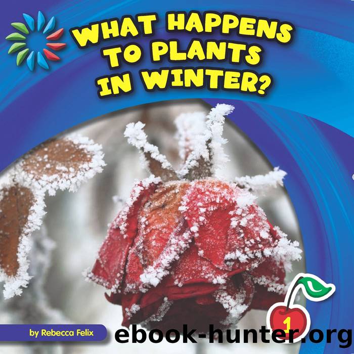 What Happens to Plants in Winter? by Rebecca Felix