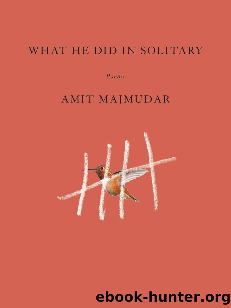 What He Did in Solitary by Amit Majmudar