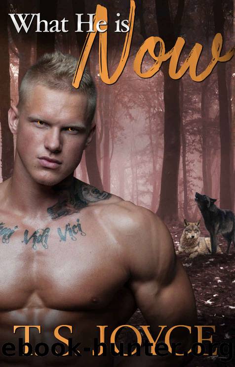 What He Is Now by T. S. Joyce