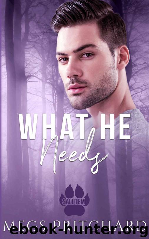 What He Needs (Salutem Book 1) by Megs Pritchard