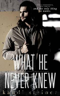 What He Never Knew: A TeacherStudent Romance (What He Doesn't Know Series Book 3) by Kandi Steiner