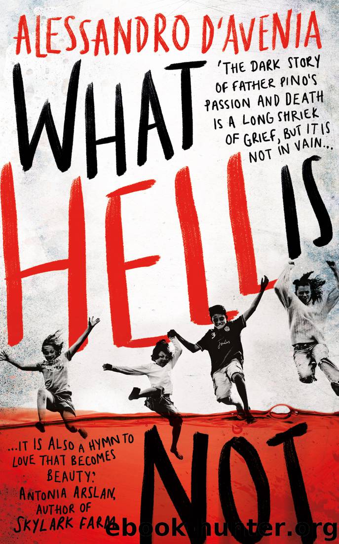 What Hell Is Not by Alessandro D'Avenia