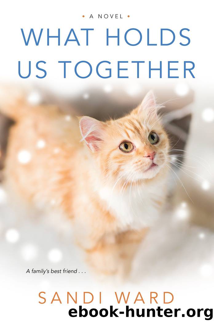 What Holds Us Together by Sandi Ward