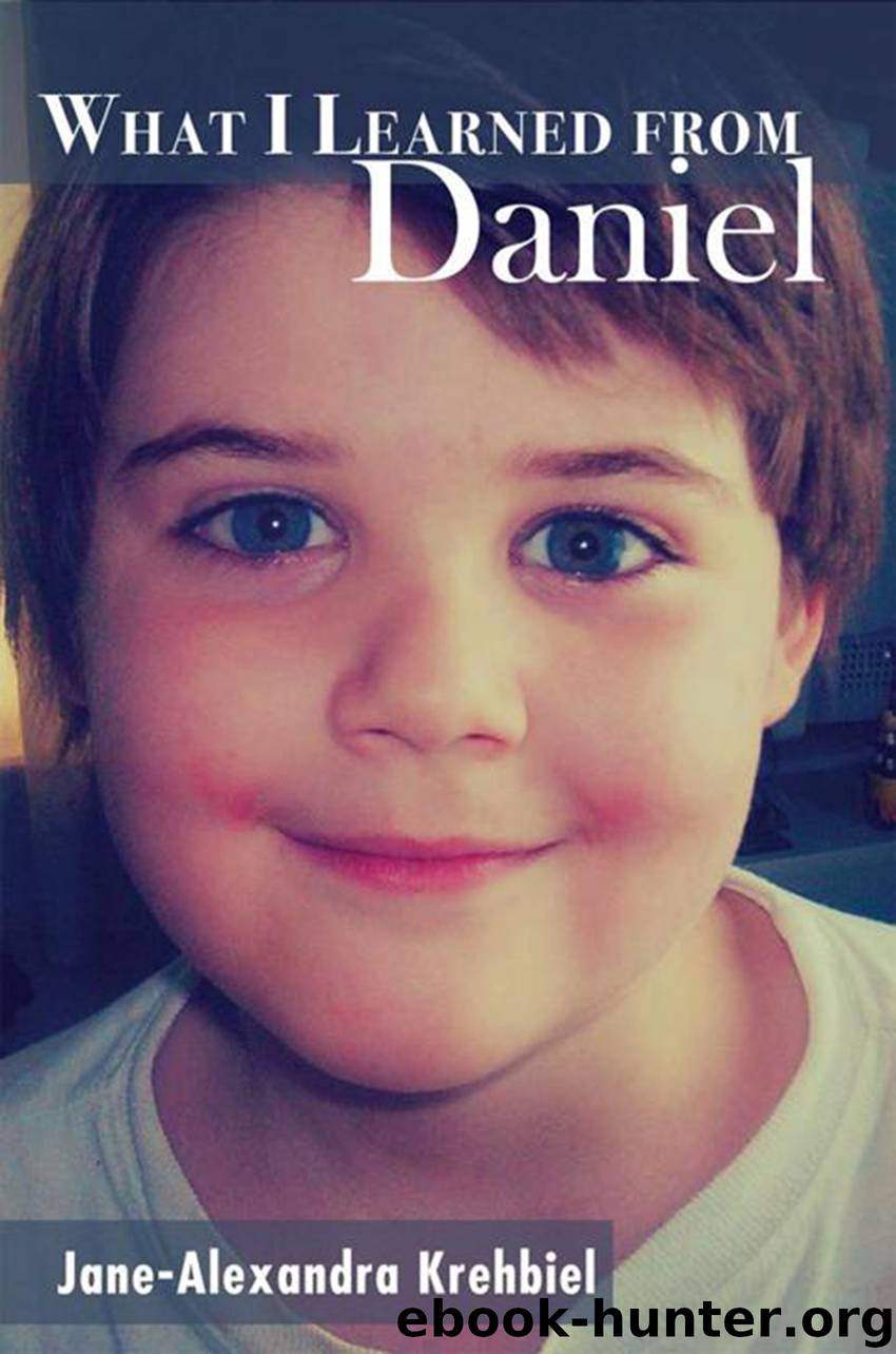 What I Learned from Daniel by jane-alexandra krehbiel