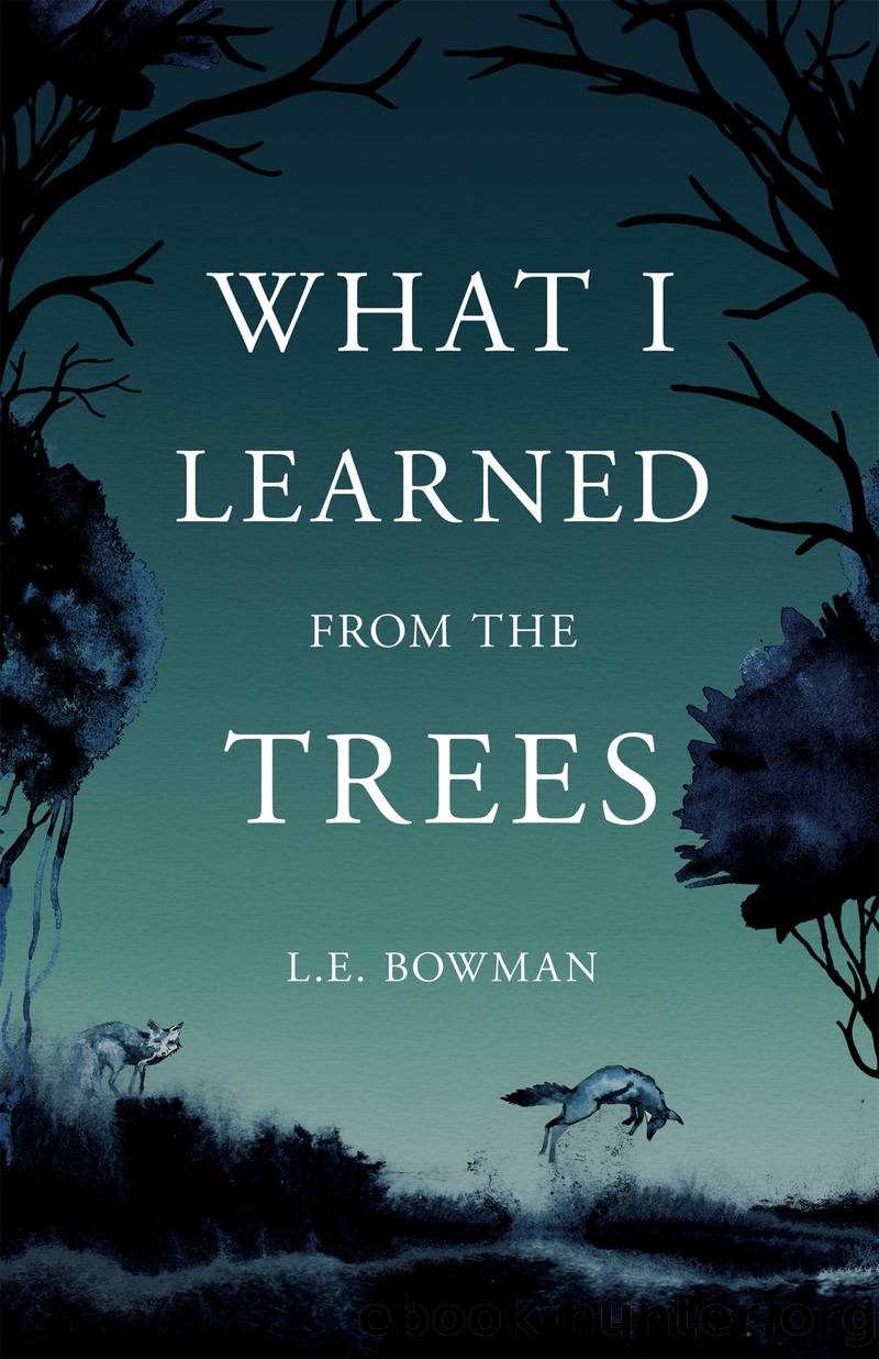 What I Learned from the Trees by L.E. Bowman