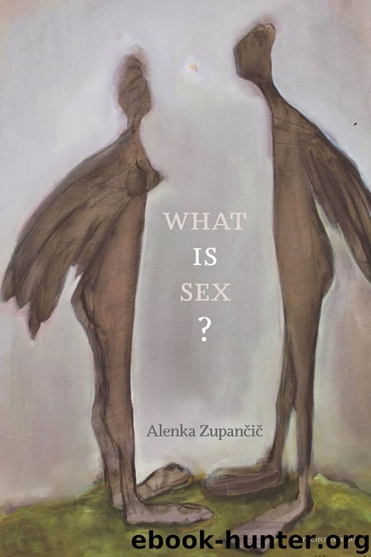 What IS Sex? by Zupancic Alenka; Stockholm Inst Of Transition Staff;