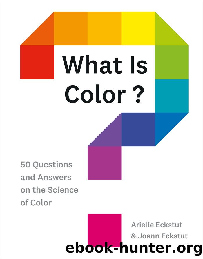 What Is Color? by Arielle Eckstut