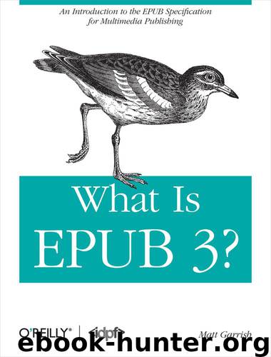 What Is EPUB 3? by Matt Garrish