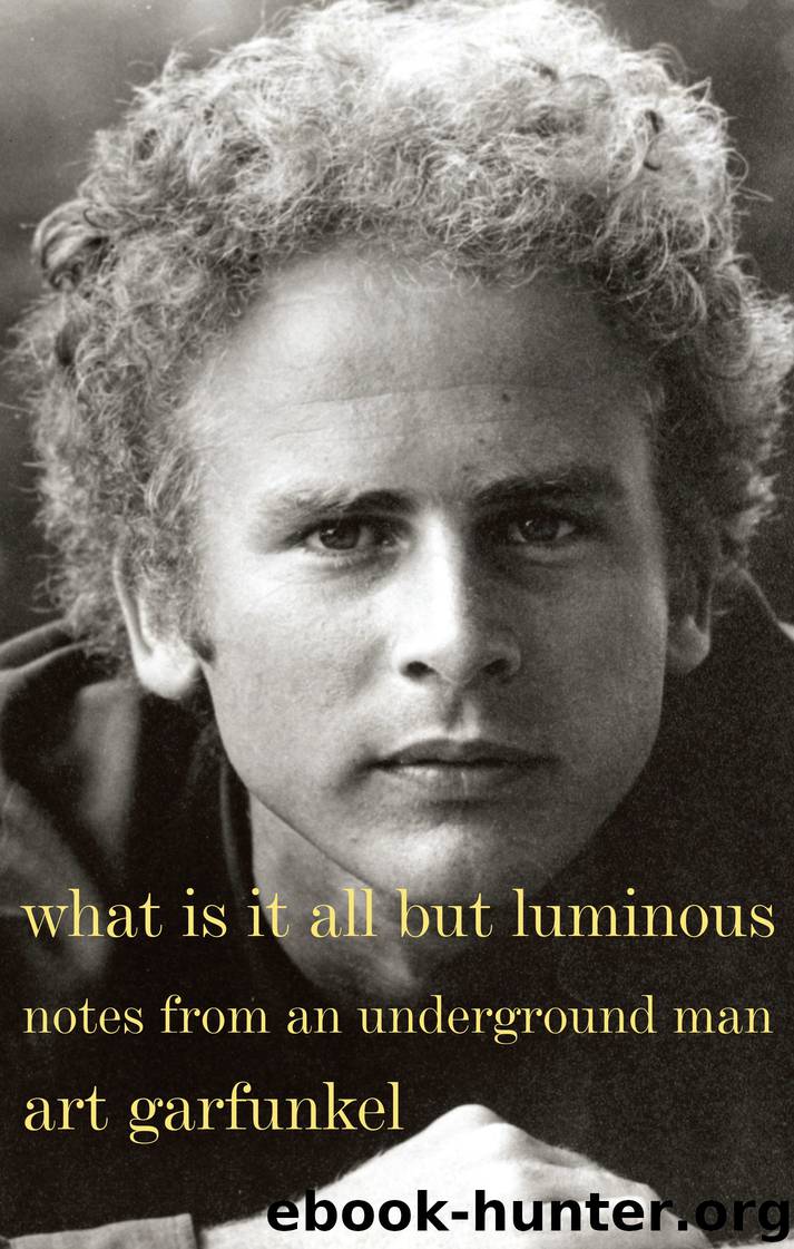 What Is It All But Luminous by Art Garfunkel