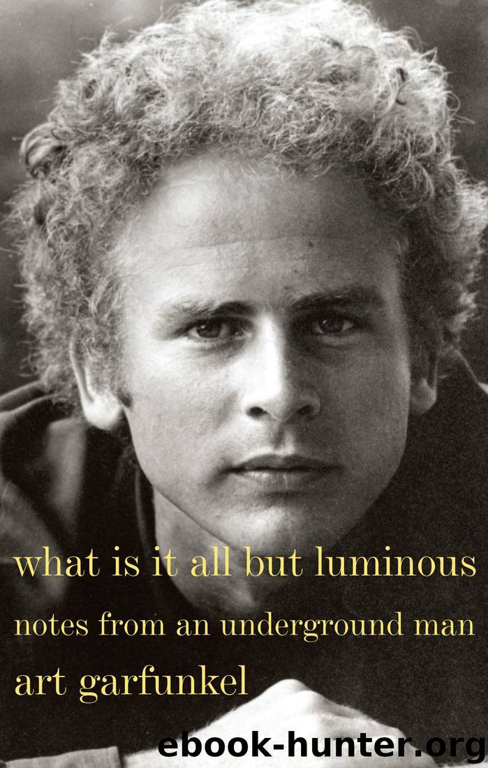 What Is It All but Luminous: Notes From an Underground Man by Art Garfunkel