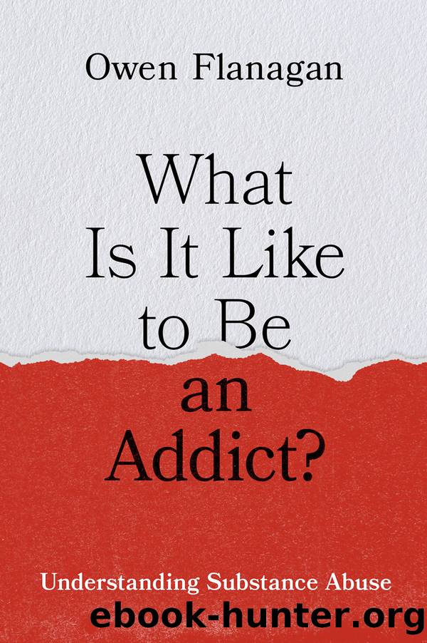 What Is It Like to Be an Addict? by Owen Flanagan