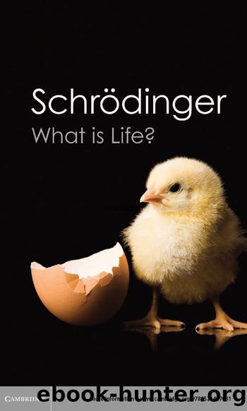 What Is Life (Canto Classics) by Erwin Schrodinger