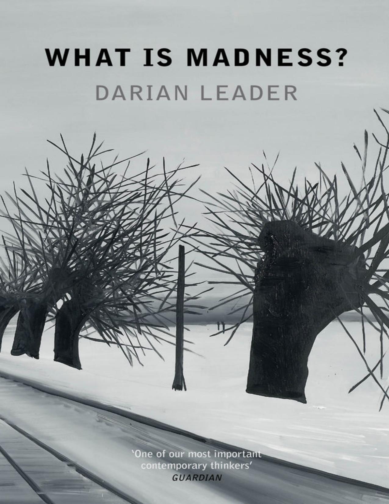 What Is Madness? by Darian Leader