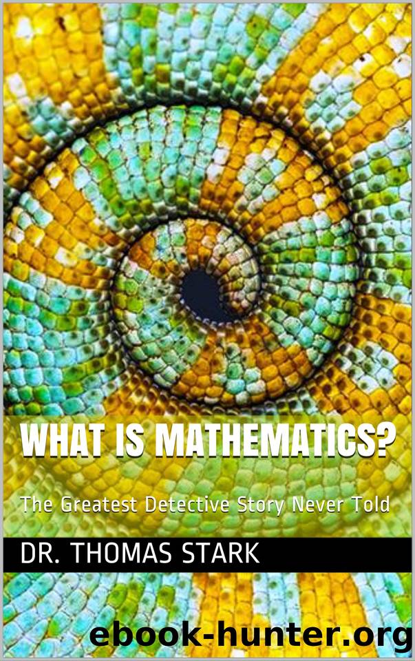 What Is Mathematics?: The Greatest Detective Story Never Told (The Truth Series Book 17) by Stark Dr. Thomas