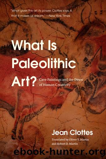 What Is Paleolithic Art?: Cave Paintings and the Dawn of Human Creativity by Jean Clottes