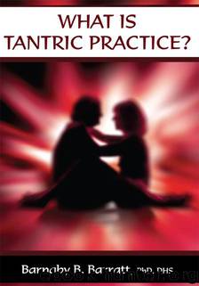 What Is Tantric Practice? by Barnaby B. Barratt