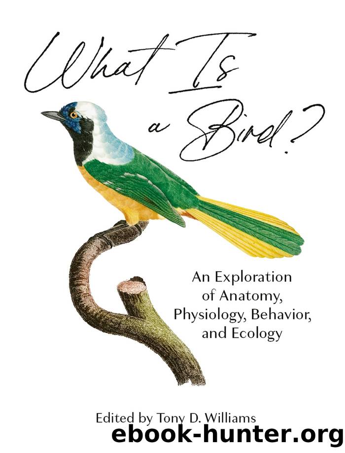 What Is a Bird? by Tony D. Williams