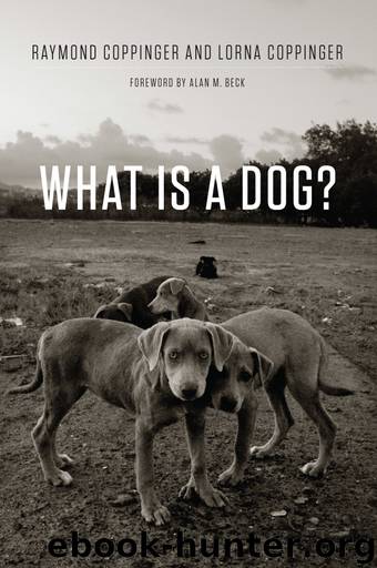 What Is a Dog? by Raymond Coppinger & Lorna Coppinger