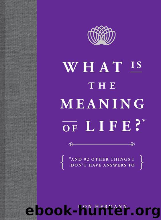 What Is the Meaning of Life? by Don Hermann