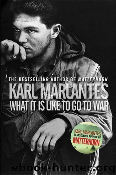What It Is Like To Go To War by Marlantes Karl