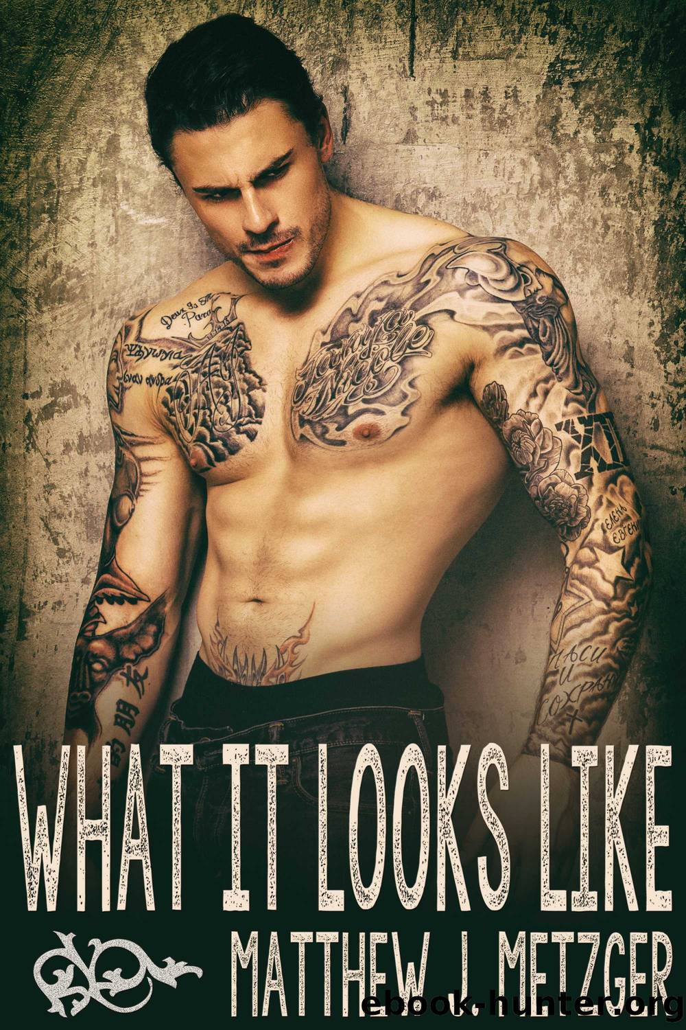 What It Looks Like by Matthew J. Metzger