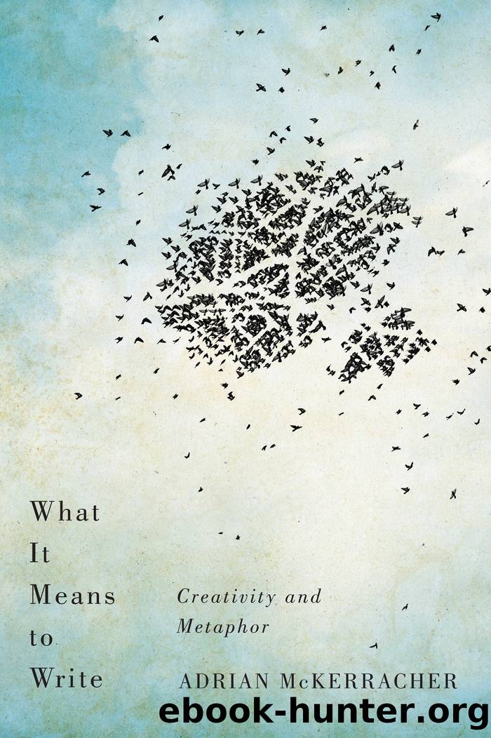 What It Means to Write by Adrian McKerracher