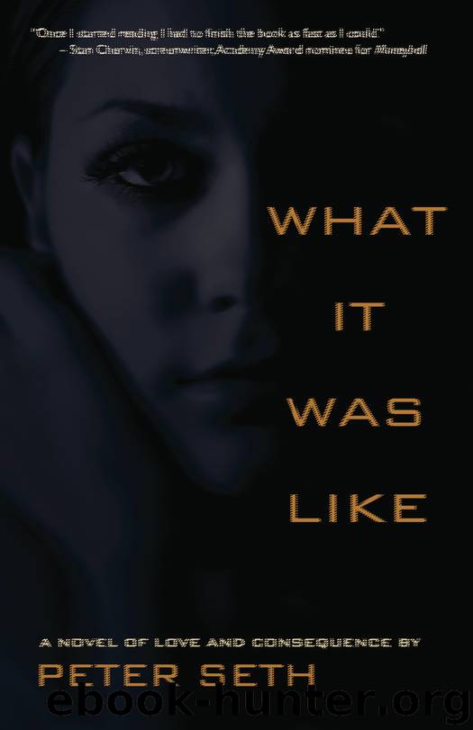 What It Was Like by Peter Seth