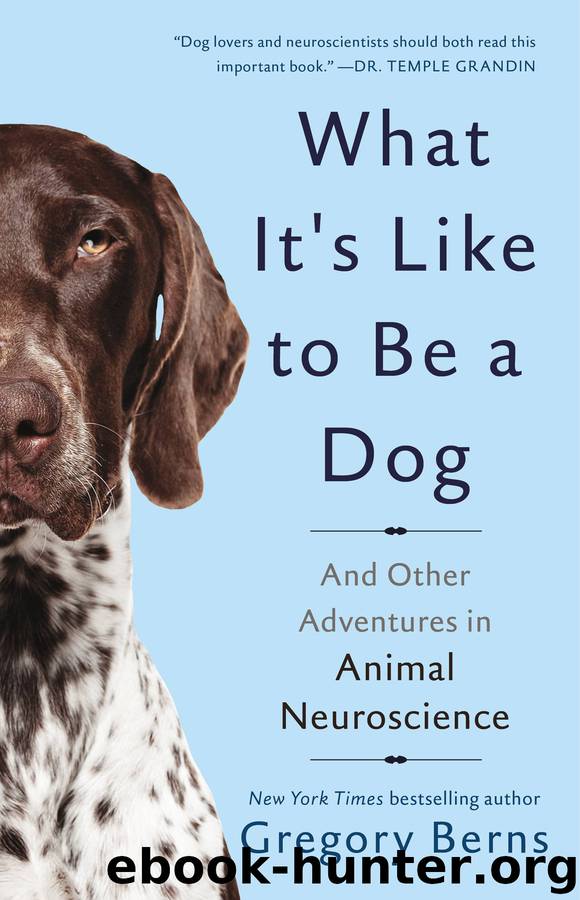 What It's Like to Be a Dog by Author