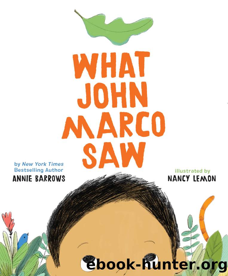 What John Marco Saw by Annie Barrows