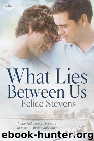 What Lies Between Us (The Breakfast Club Book 4) by Felice Stevens