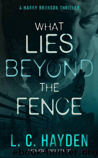 What Lies Beyond the Fence by L C Hayden