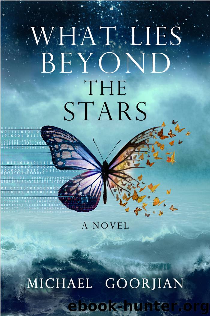 What Lies Beyond the Stars by Micael Goorjian