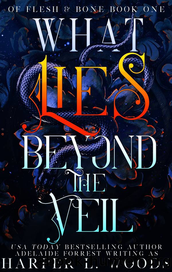 What Lies Beyond the Veil by Harper L. Woods