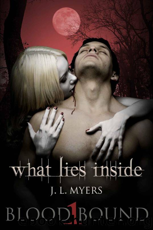 What Lies Inside by J.L. Myers