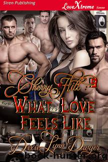 What Love Feels Like by Dwyer Dixie Lynn