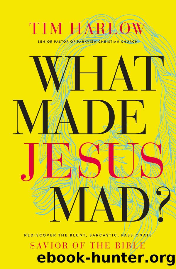 What Made Jesus Mad? by Harlow Dr. Tim