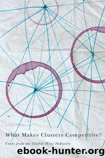 What Makes Clusters Competitive? by Hira Anil;