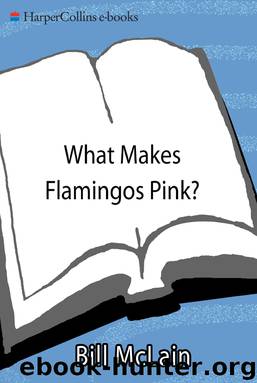 What Makes Flamingos Pink? by Bill McLain