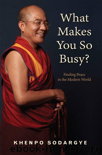 What Makes You So Busy? by Khenpo Sodargye
