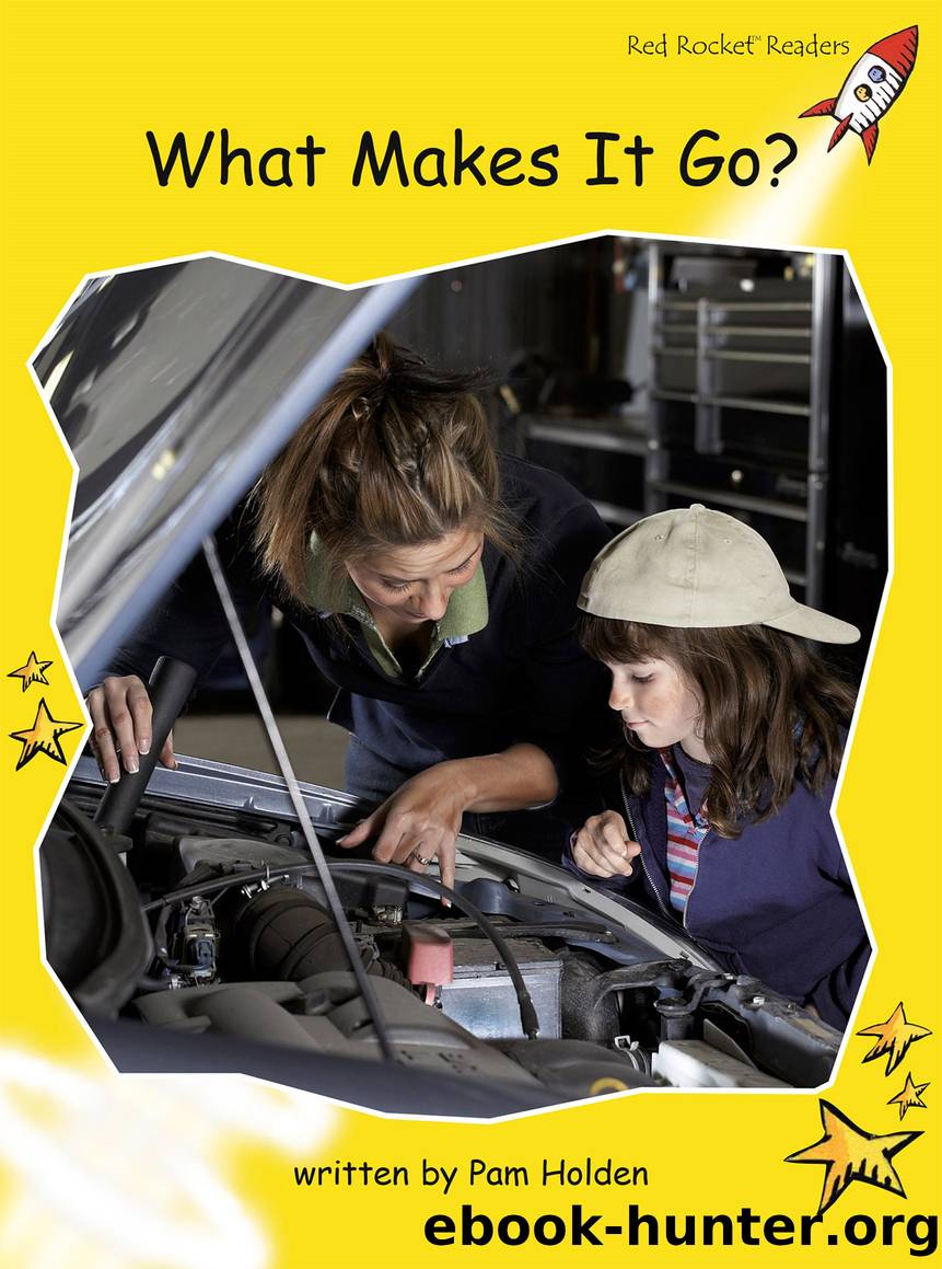 What Makes it Go? by Pam Holden