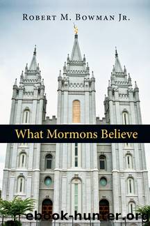 What Mormons Believe by Robert M. Bowman Jr